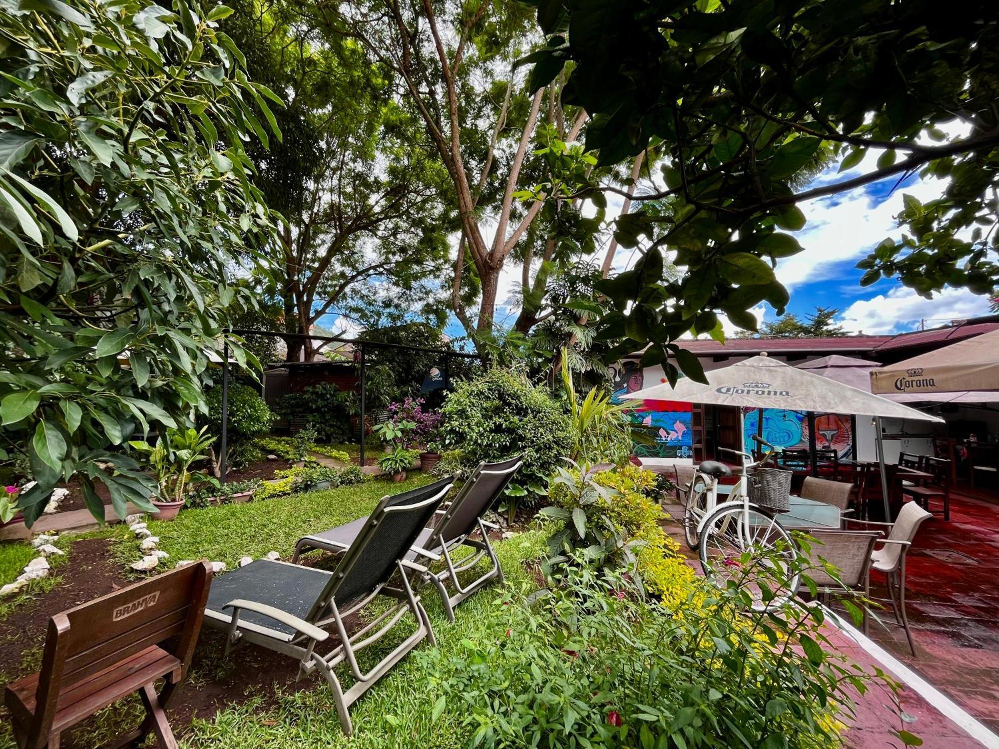 Auberge de jeunesse Antigueeno *